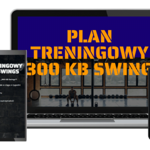 300kb-swings